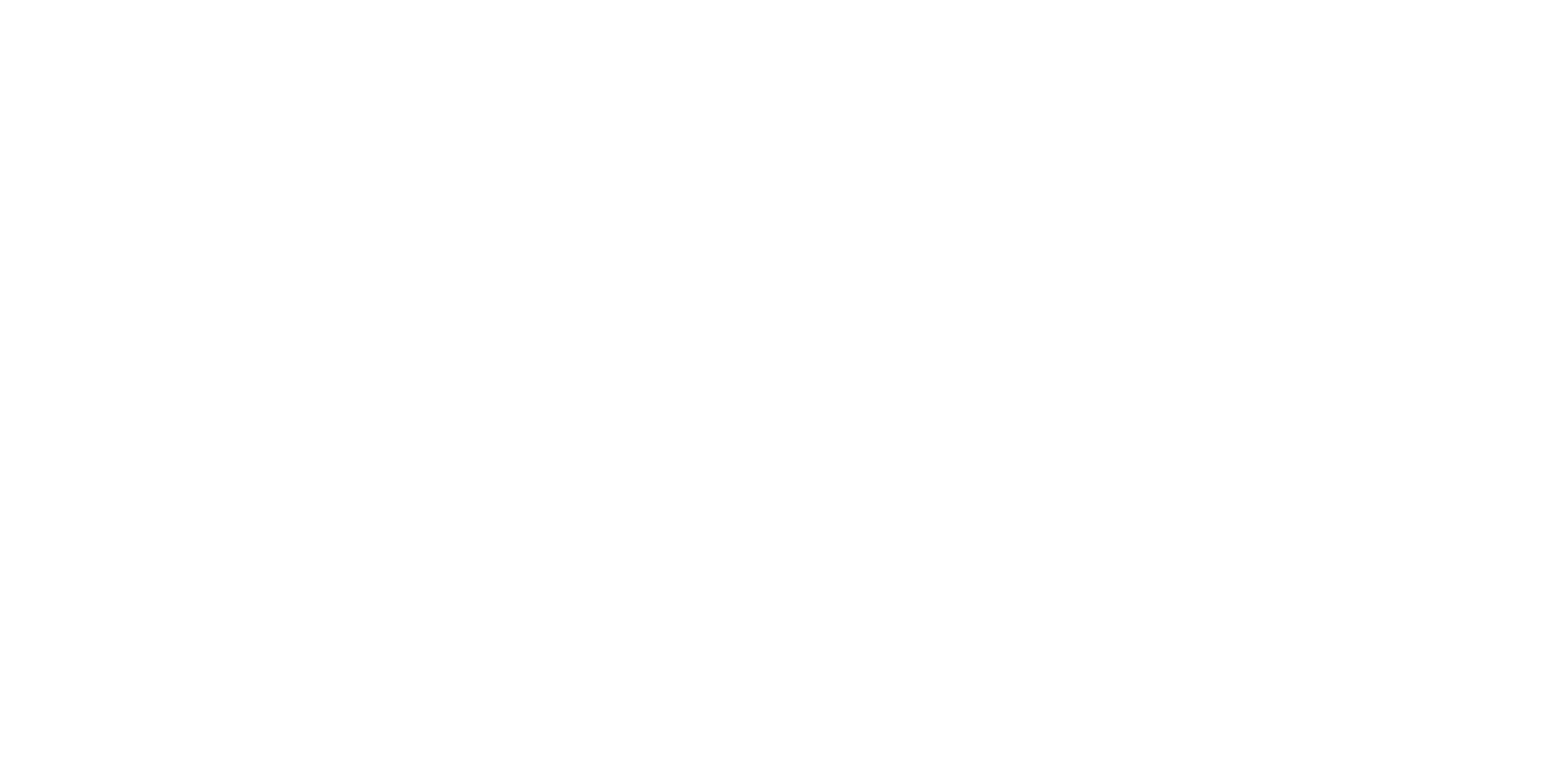 logo enedis blanc