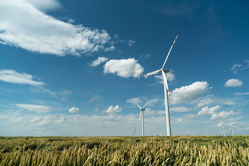 photo d'éoliennes dans un champs